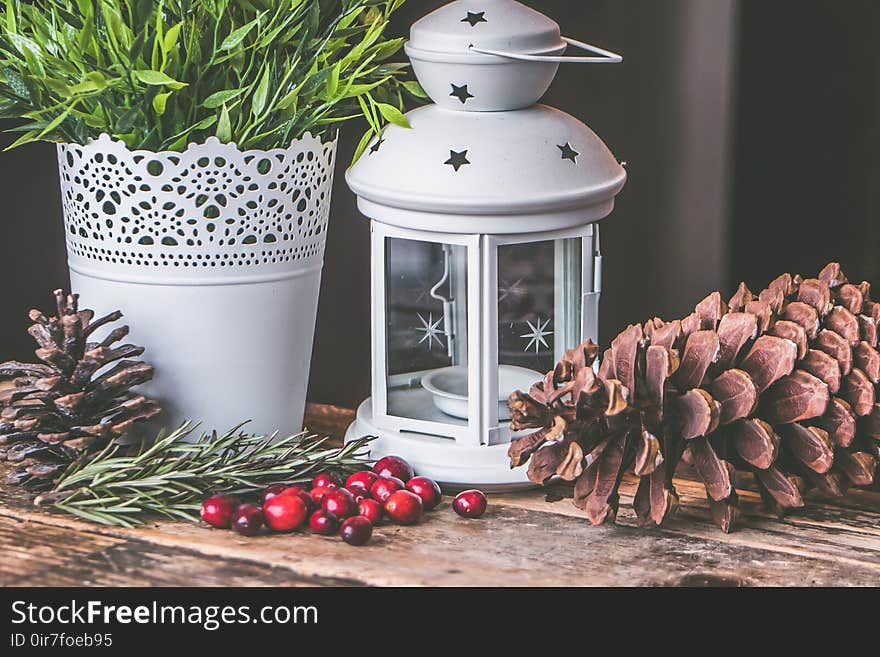 Candle Lantern Beside Pine C One and Green Leaf Plant