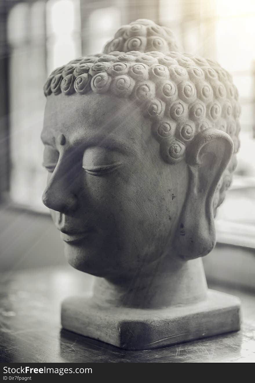 Selective Focus of Gautama Buddha Bust