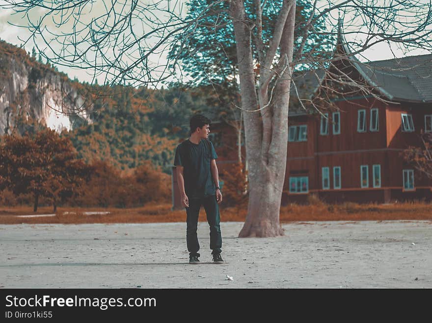 Man in Blue Crew Neck Shirt Standing Behind Brown Tree