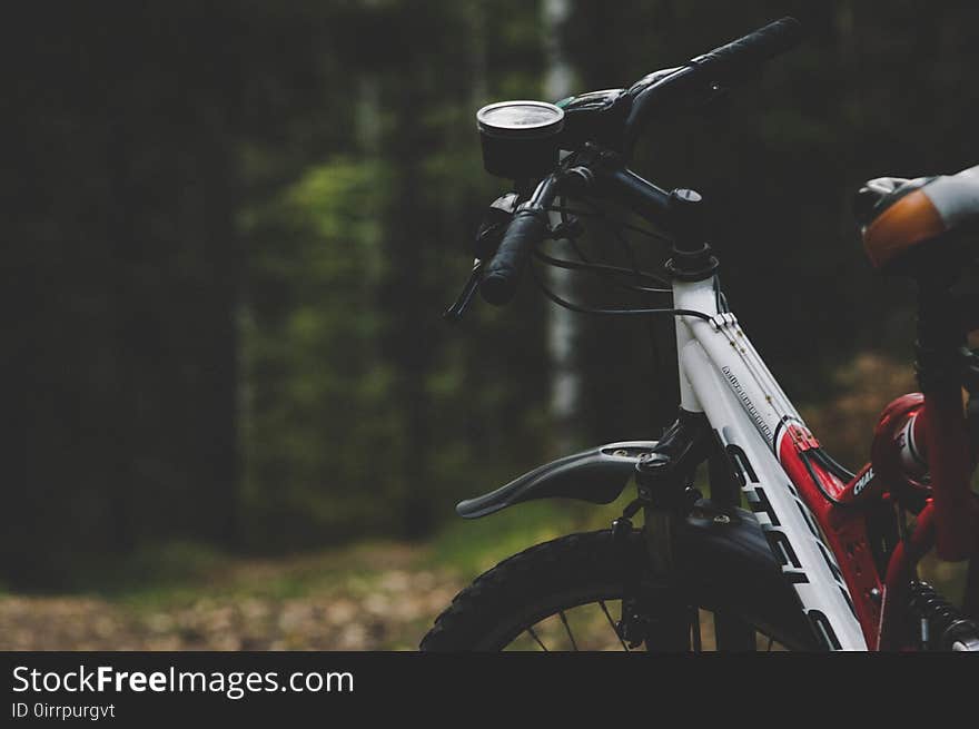 Selective Focus Photography Of Mountain Bike