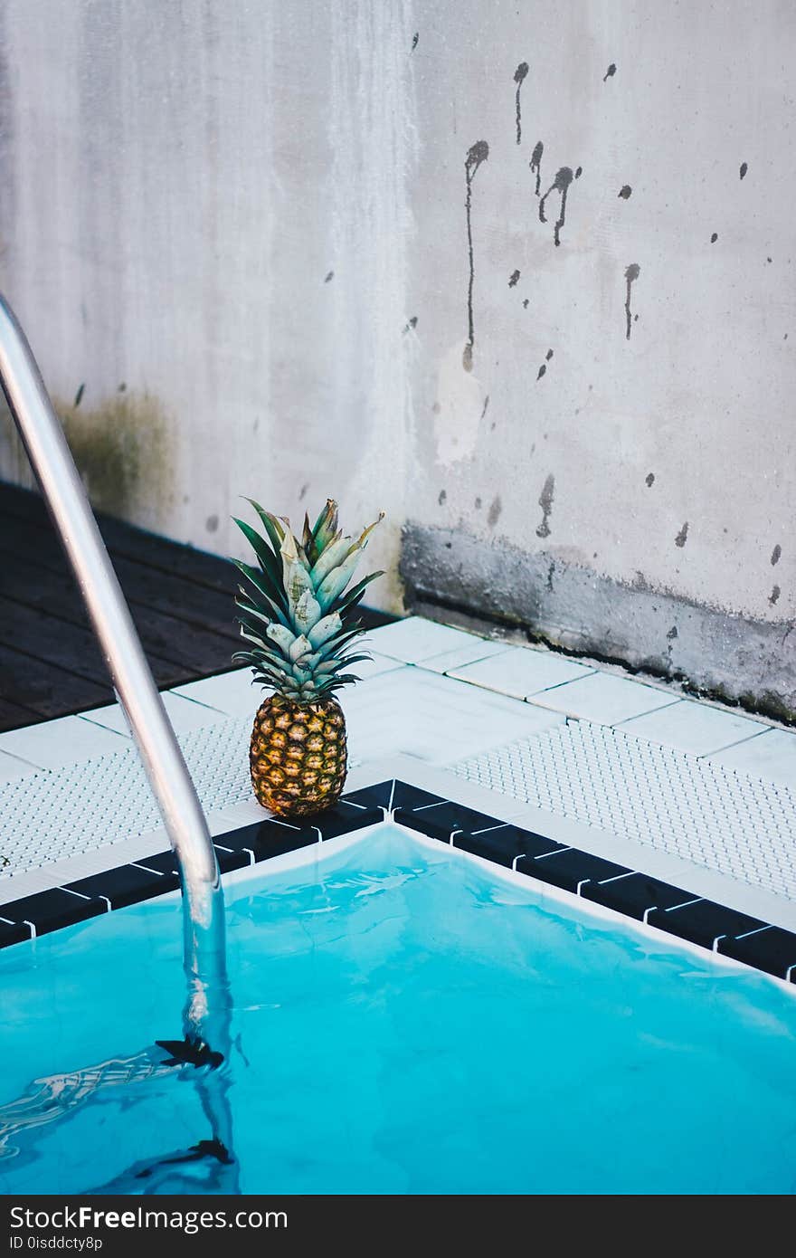 Pineapple Beside the Swimming Pool