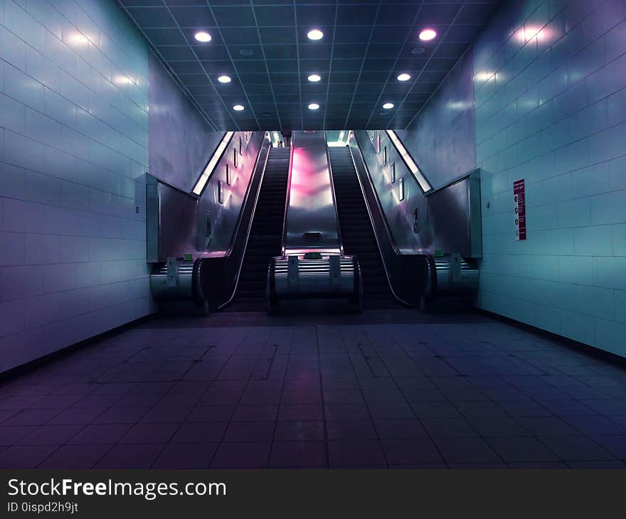 Landscape Photo of Two Escalators