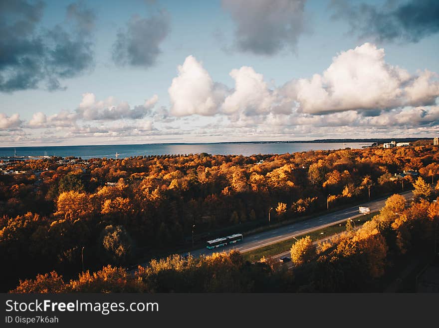 Aerial Photo of Car on the Road Surrounded by Brown Trees Under Alto Cumulus Clouds and Clear Blue Sky