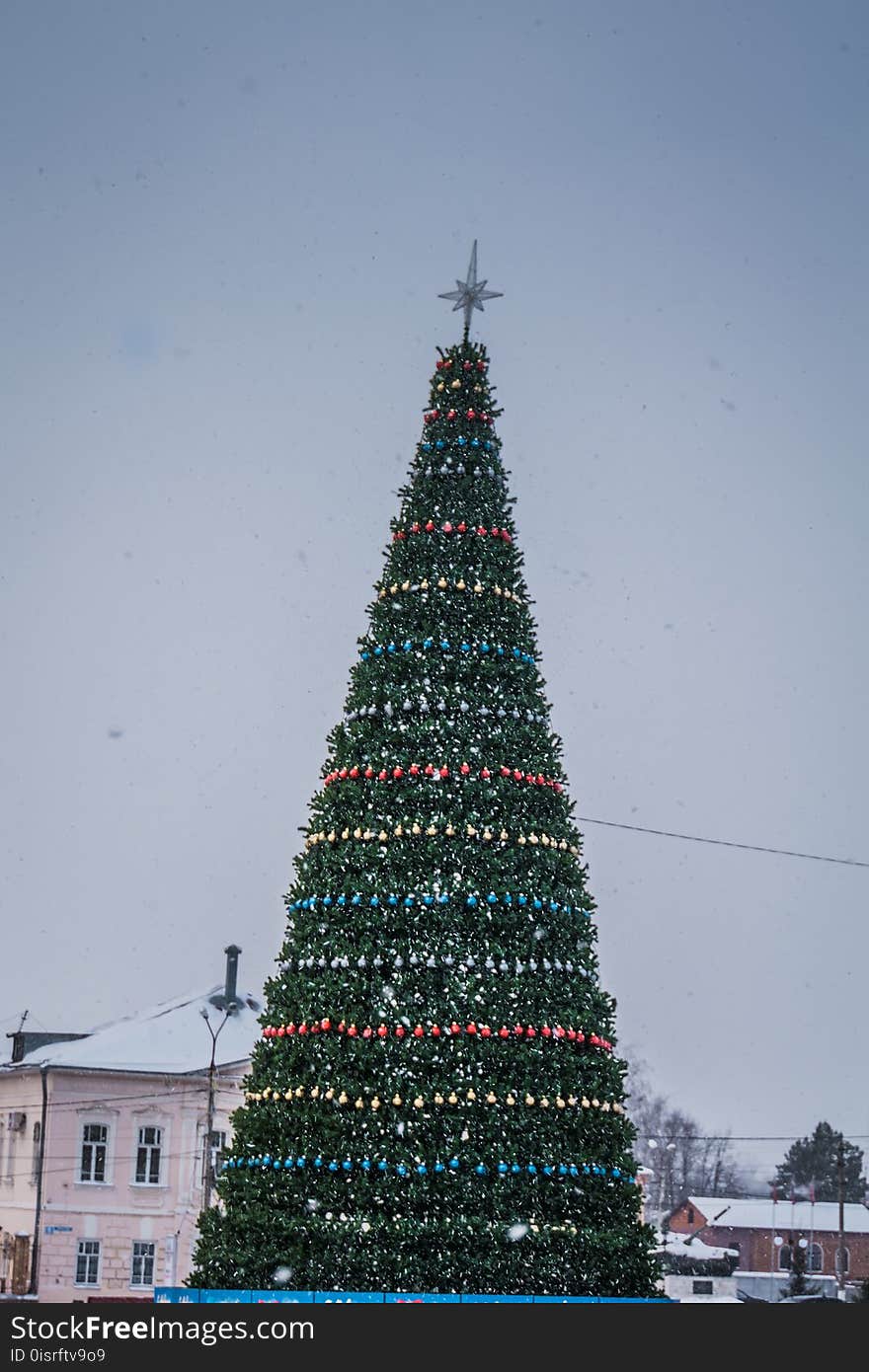 Decorated Christmas Tree