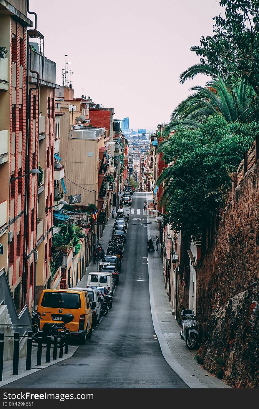 Road Between Buildings