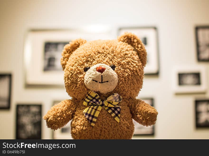 Brown Bear Plush Toy