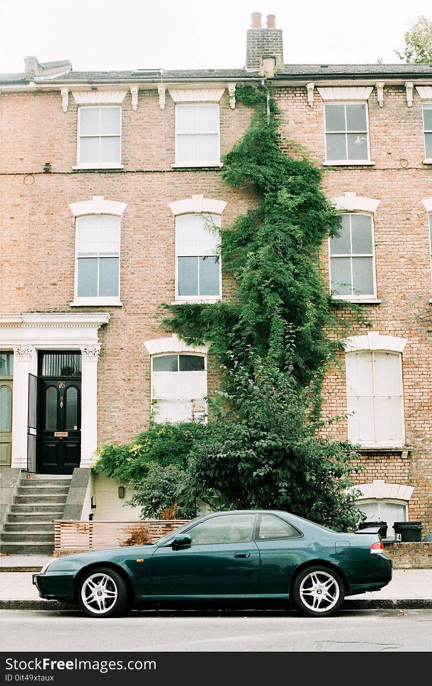 Brown and White Concrete Apartment and Green Ivy Plants