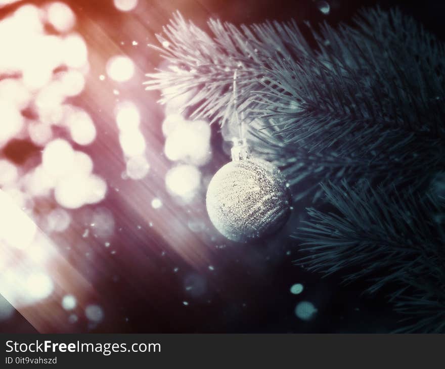 Silver Christmas Ball on a Branch