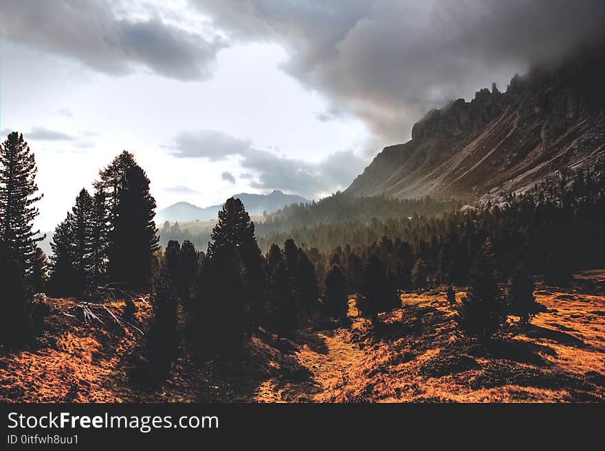 Silhouette of Mountain Hill With Pine Trees Under White Cloud Blue Sky