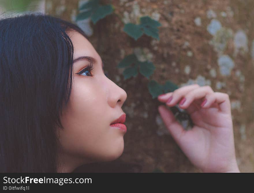 Close Up Photo of Woman Looking Up Near Tree Trunk