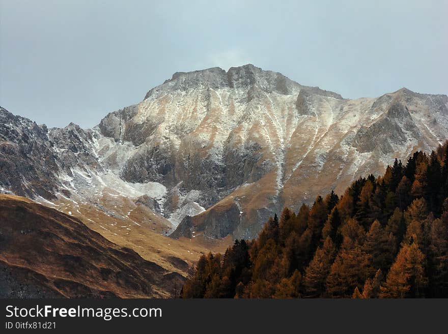 Rocky Mountain