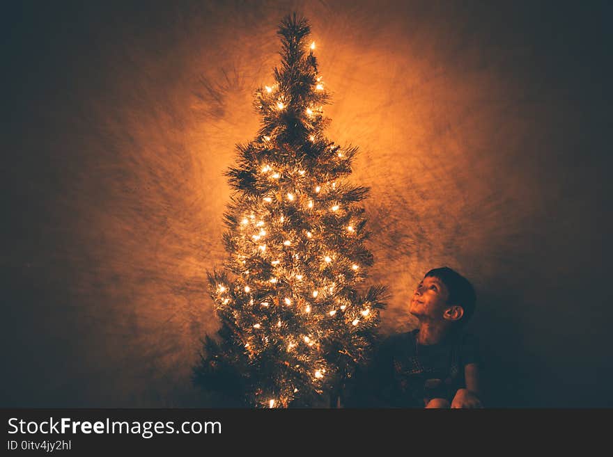 Boy Beside Christmas Tree Illustration