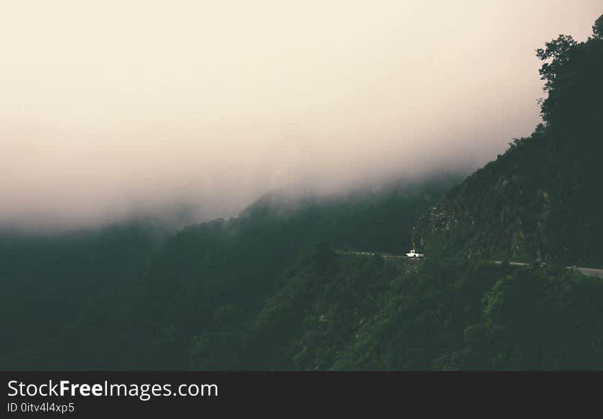 Mountain Surrounded by Trees Covered by Fog