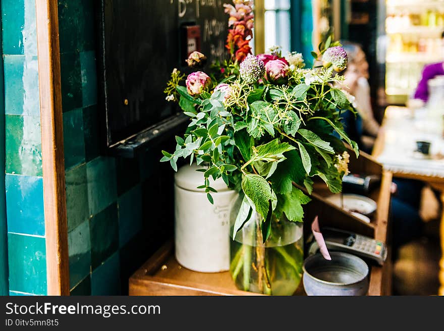 Green Potted Plant