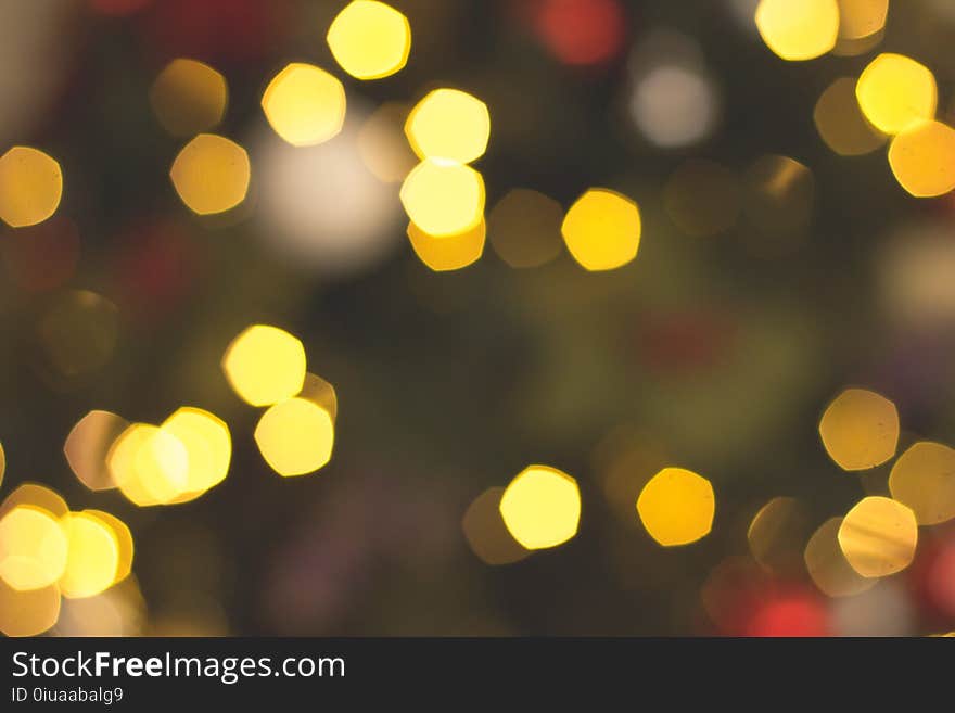 Close-up Photography Bokeh Light