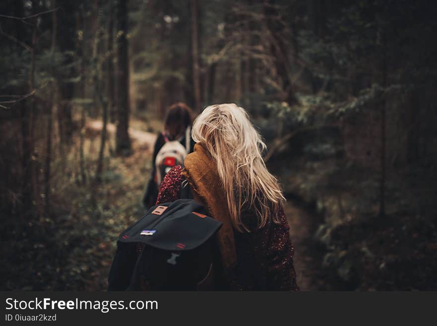 Woman in Brown Scarf Surrounded With Green Trees