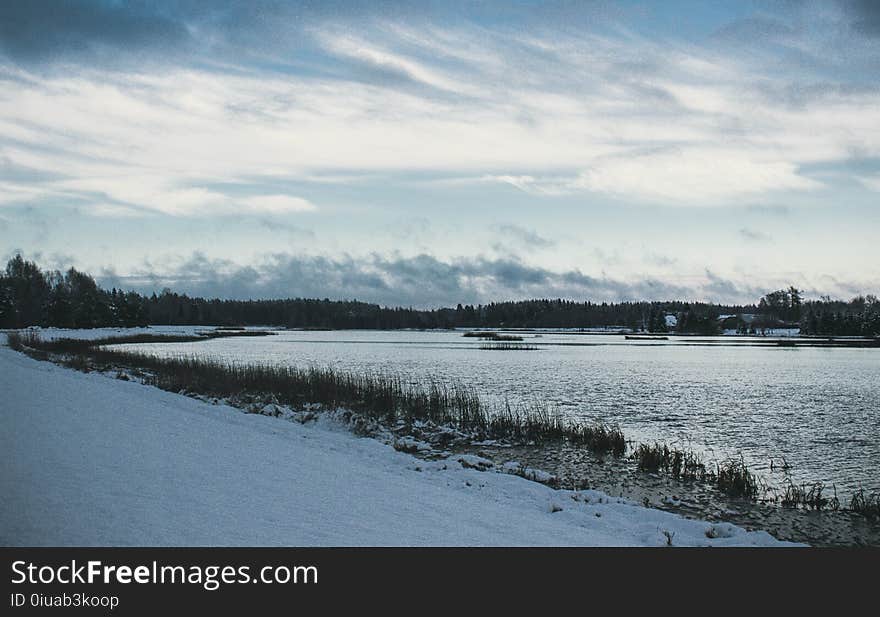 Snow Covered Field