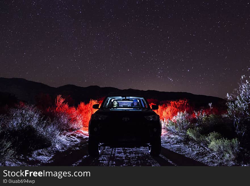 Vehicle on Road Along Green Grass during Night