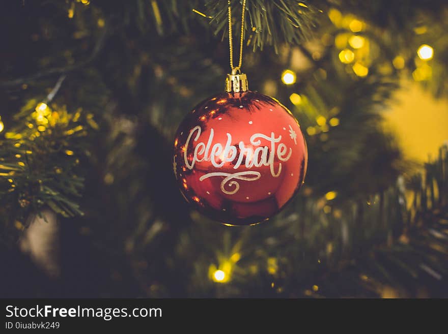 Red Celebrate Print Baubles Hang on Green Christmas Tree