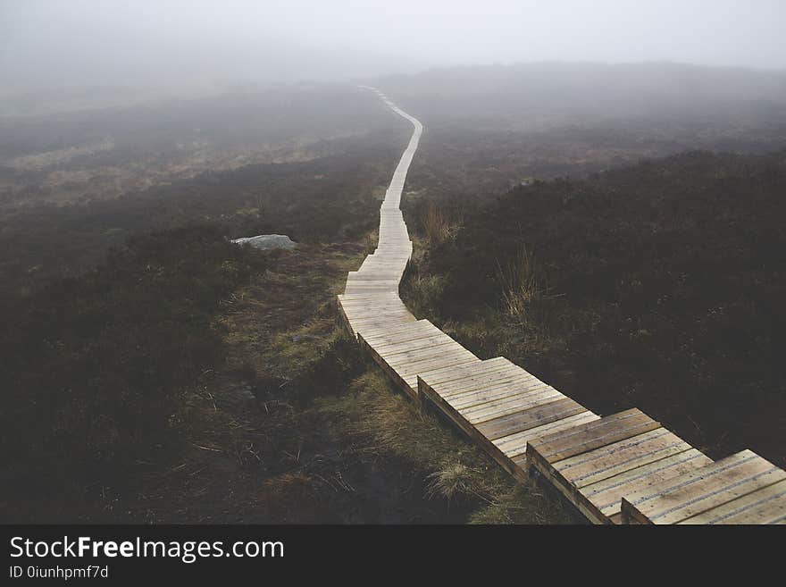 Brown Wooden Stairs on Body of Mountain