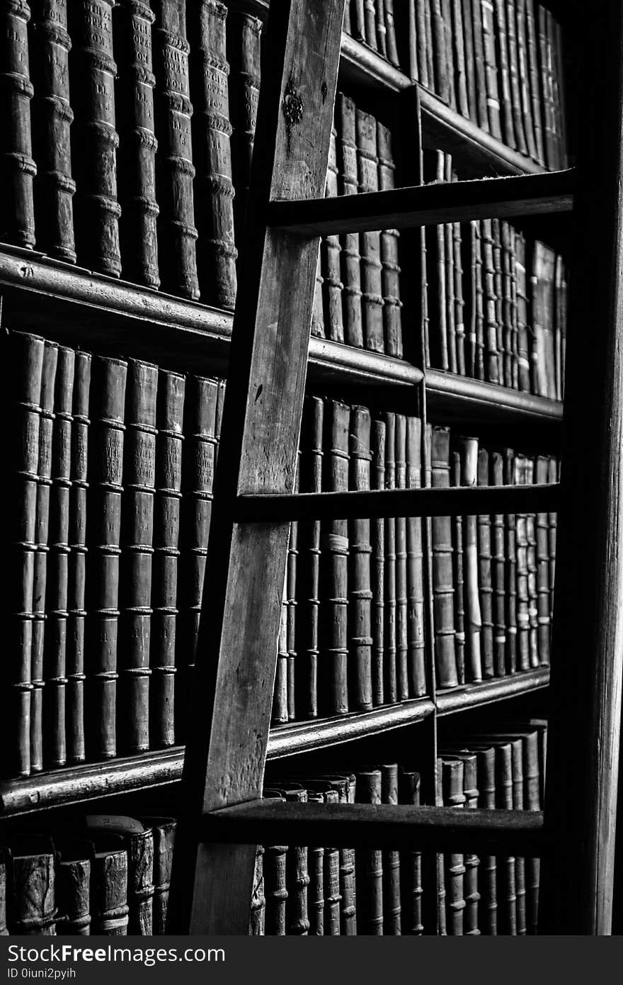 Grayscale Photography of Ladder Near Bookshelf