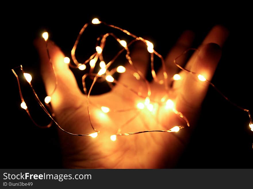 Person Holding String Lights