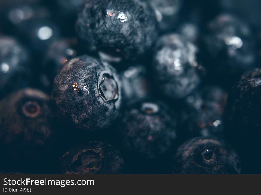 Round Black Fruits