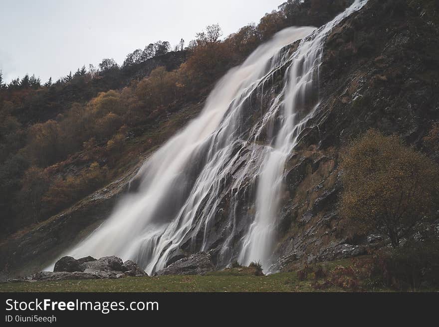 Waterfalls Between Brown Trees