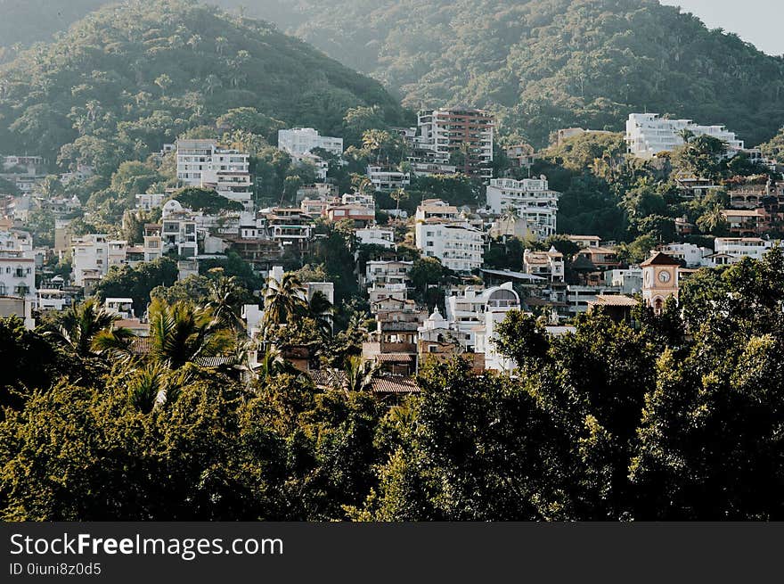 White and Brown Buildings on Mountain