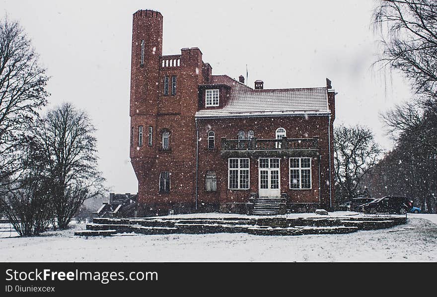 House Covered by Snow and Surrounded by Leafless Trees