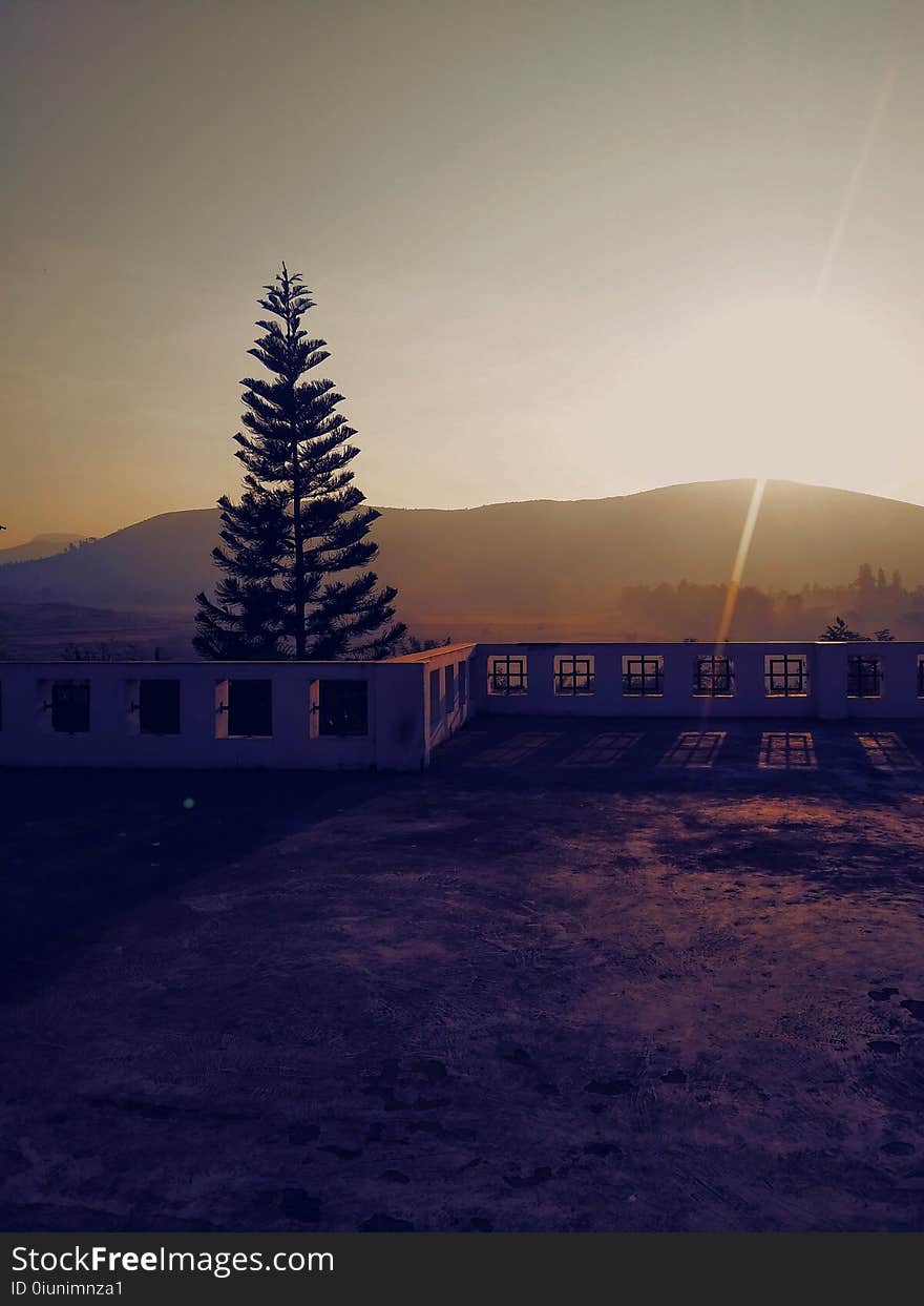 Concrete Bench Near Pine Tree Background of Mountain during Sunset