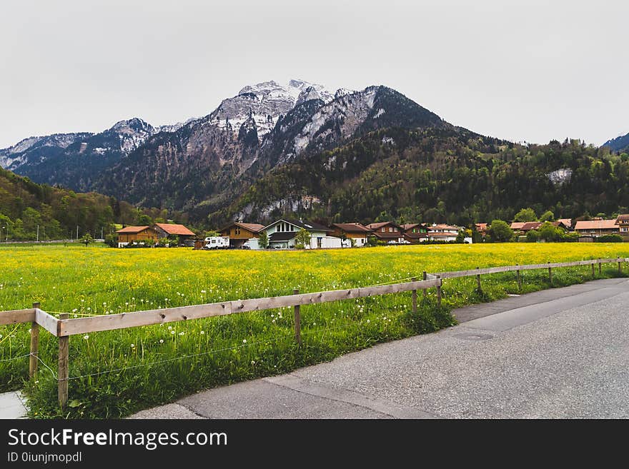 Green Grass Field Near Houses and Mountain