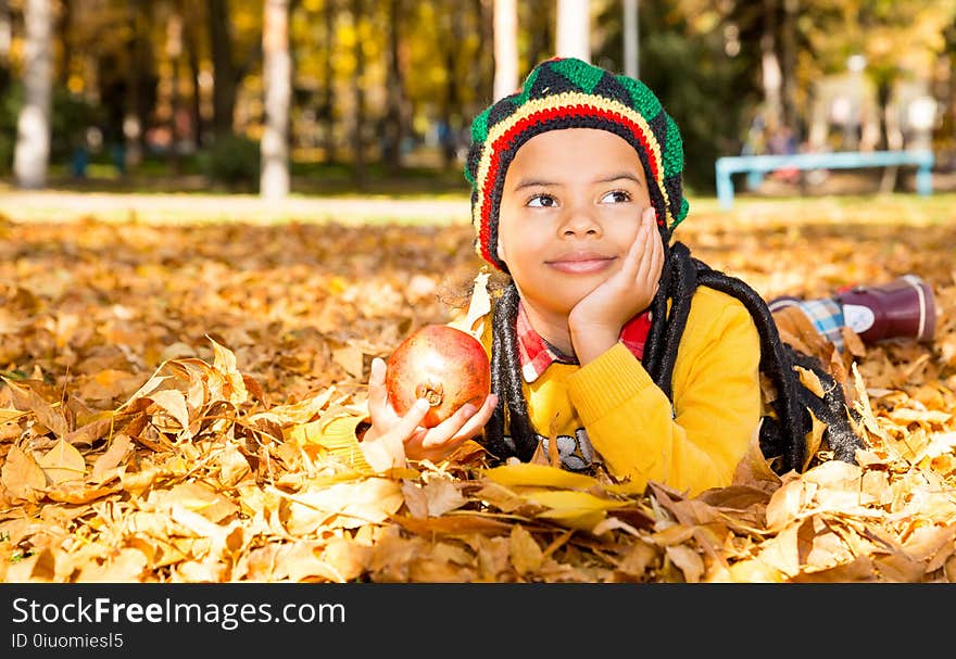 Autumn portrait of beautiful child. Happy little boy with leaves in the park in a fall. Autumn portrait of beautiful child. Happy little boy with leaves in the park in a fall.