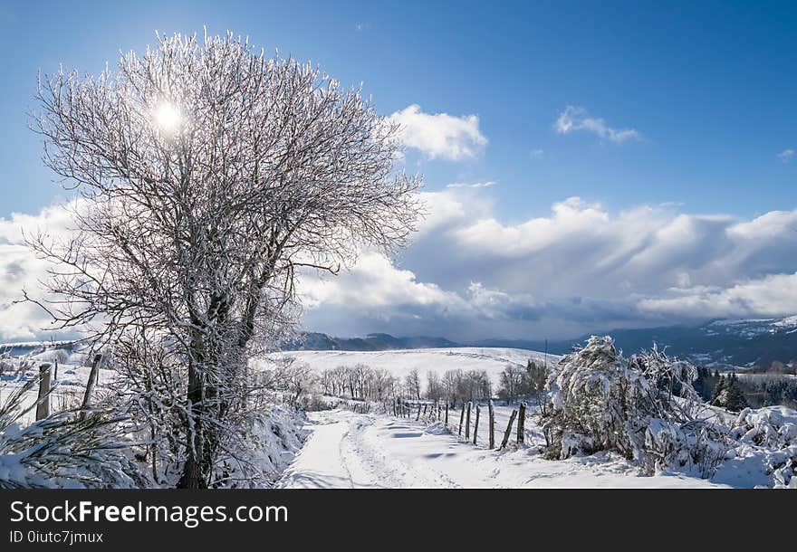 Winter, Sky, Snow, Freezing