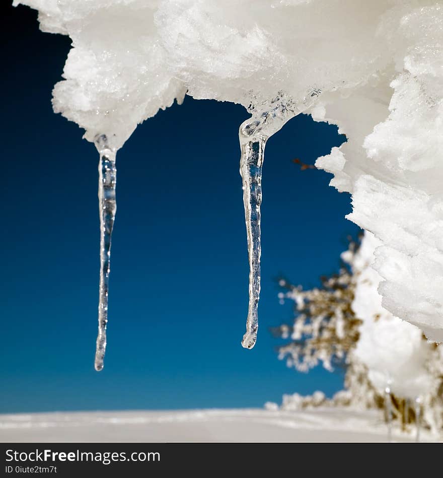 Freezing, Icicle, Ice, Winter