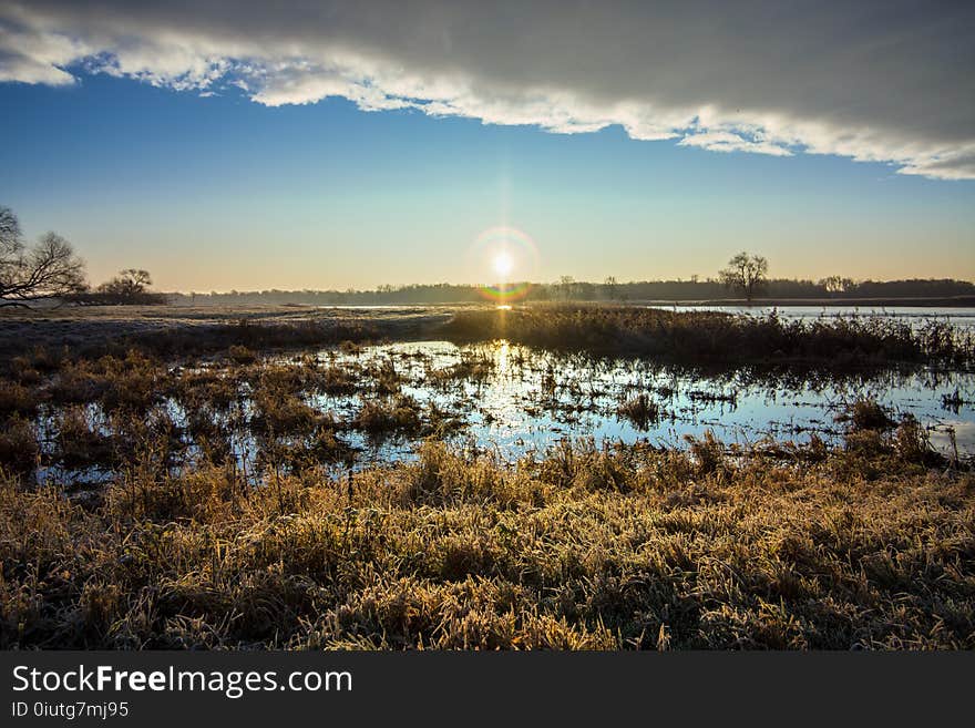 Sky, Wetland, Reflection, Marsh