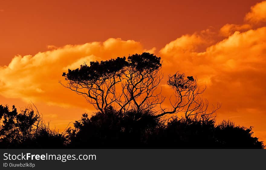 Sky, Cloud, Nature, Afterglow