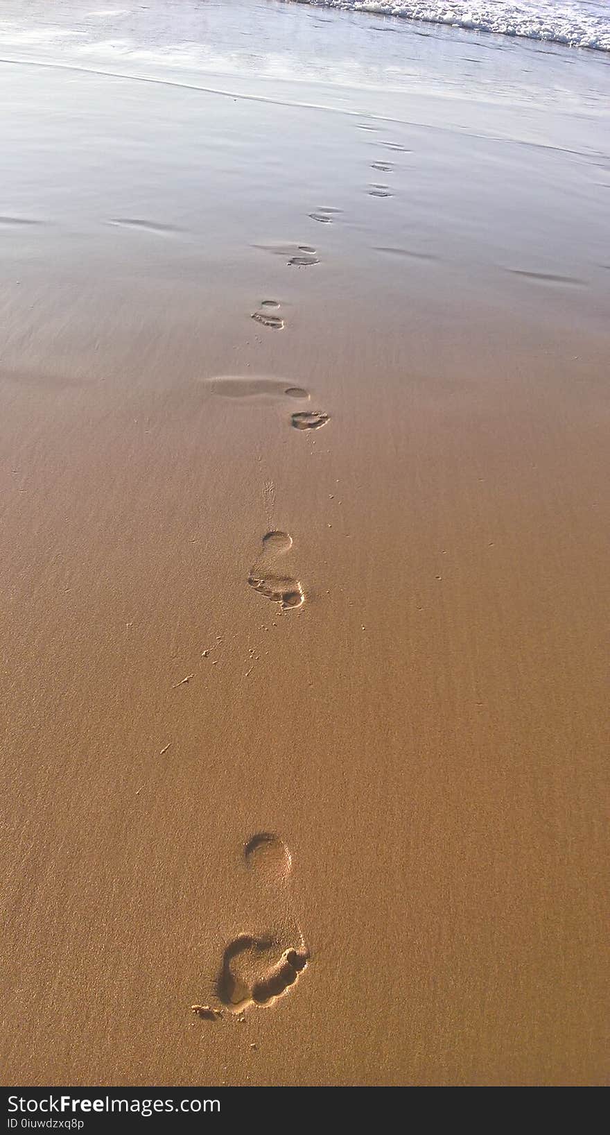 Shore, Sand, Water, Mudflat