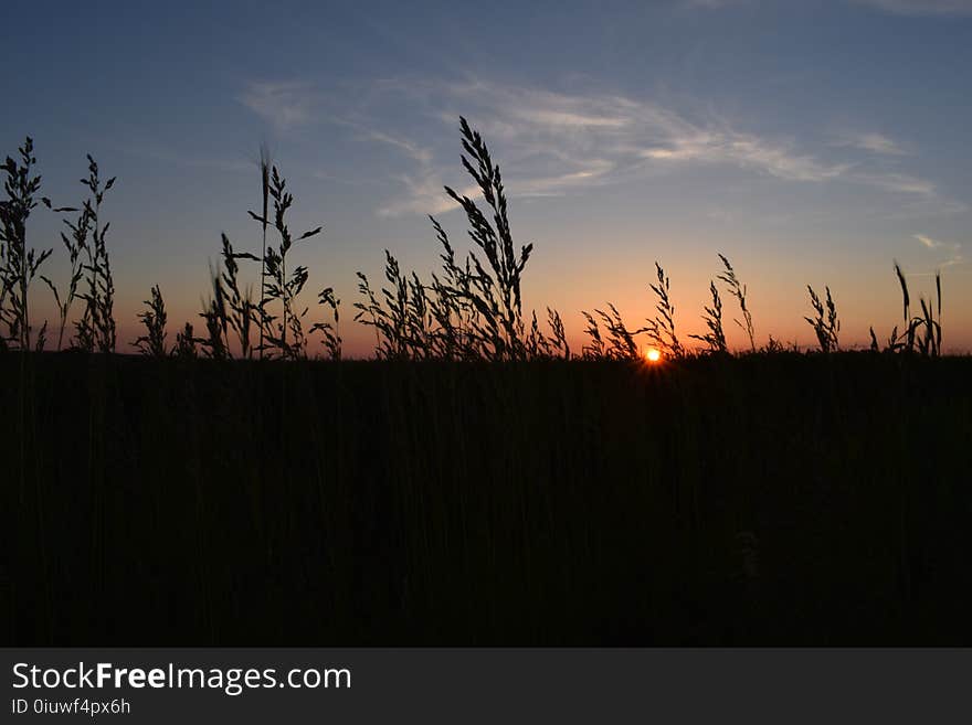 Sky, Sunset, Evening, Sunrise