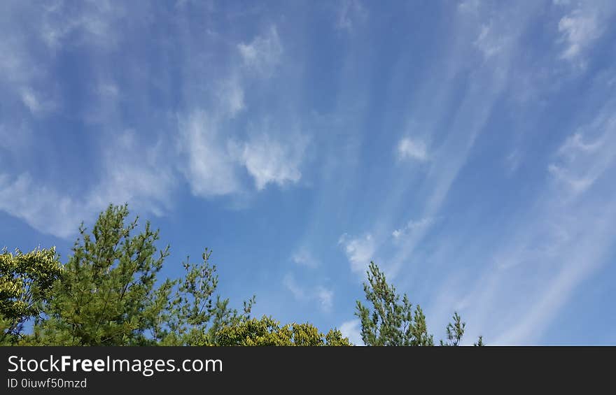 Sky, Daytime, Cloud, Atmosphere