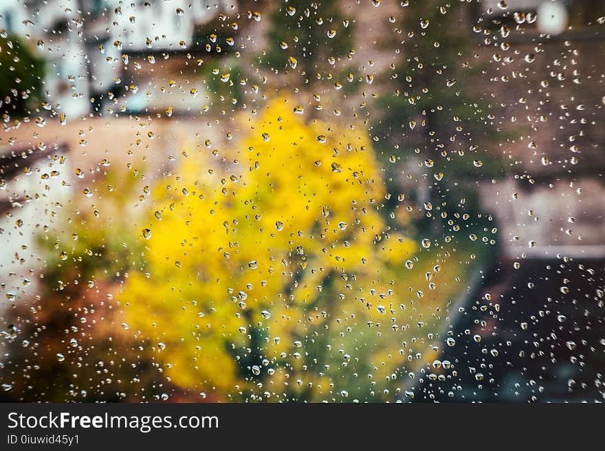 Nature, Yellow, Sky, Water