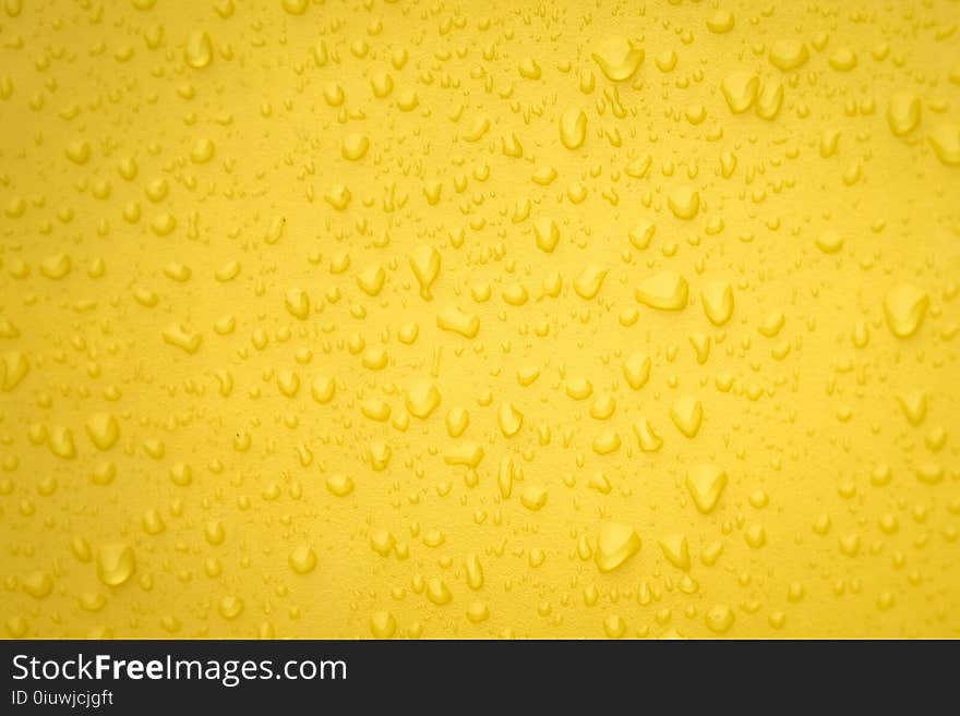 Yellow, Texture, Macro Photography, Commodity