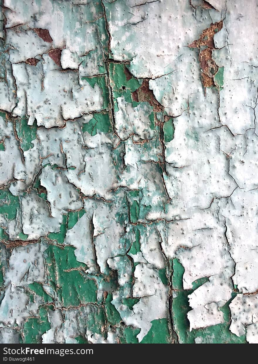 Green, Tree, Wall, Texture