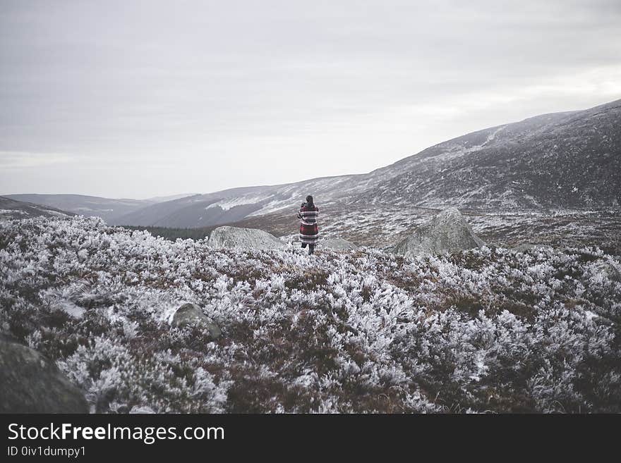 Person Standing Near White Flowers At Daytime