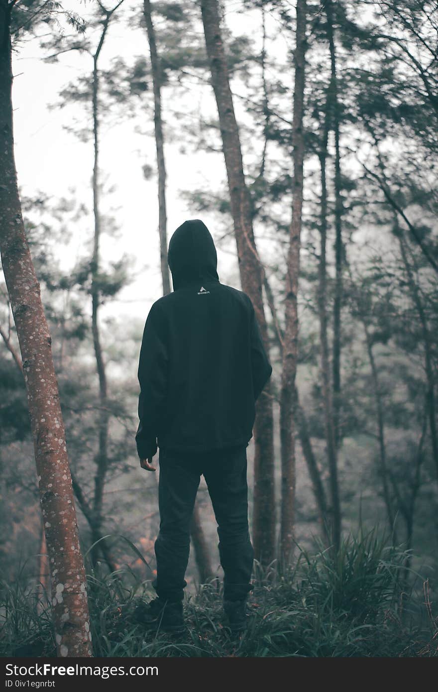 Man Wearing Black Hoodie With Black Pants Standing in the Middle of Forest