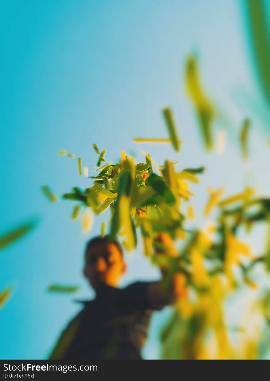 Selective Focus Photo of Man Dropping Grasses