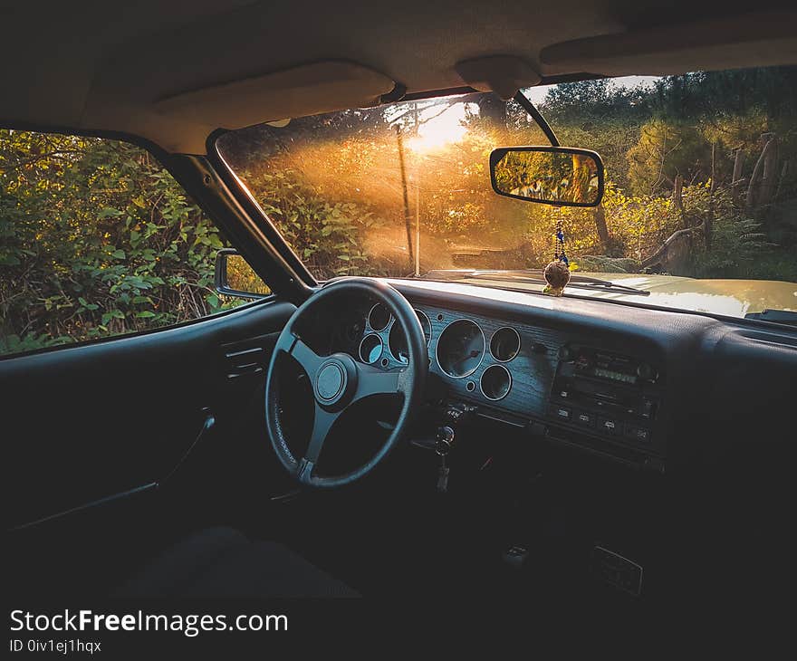 Photo of Vehicle Interior Near Green Leaf Plants