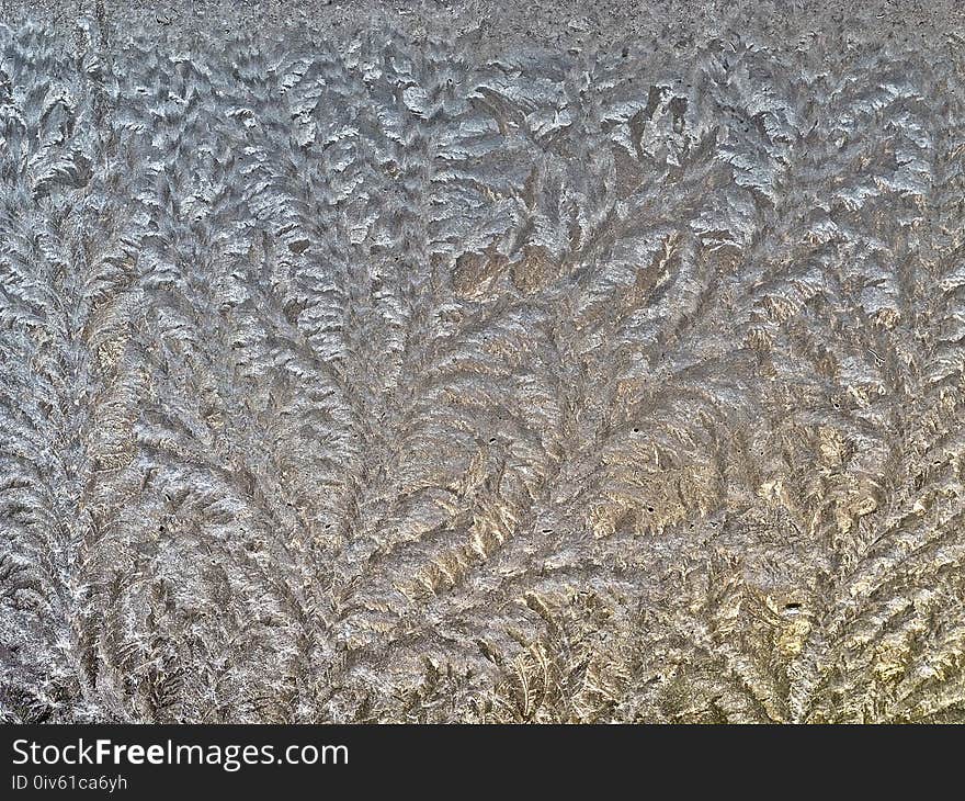 Frost, Pattern, Texture, Grass