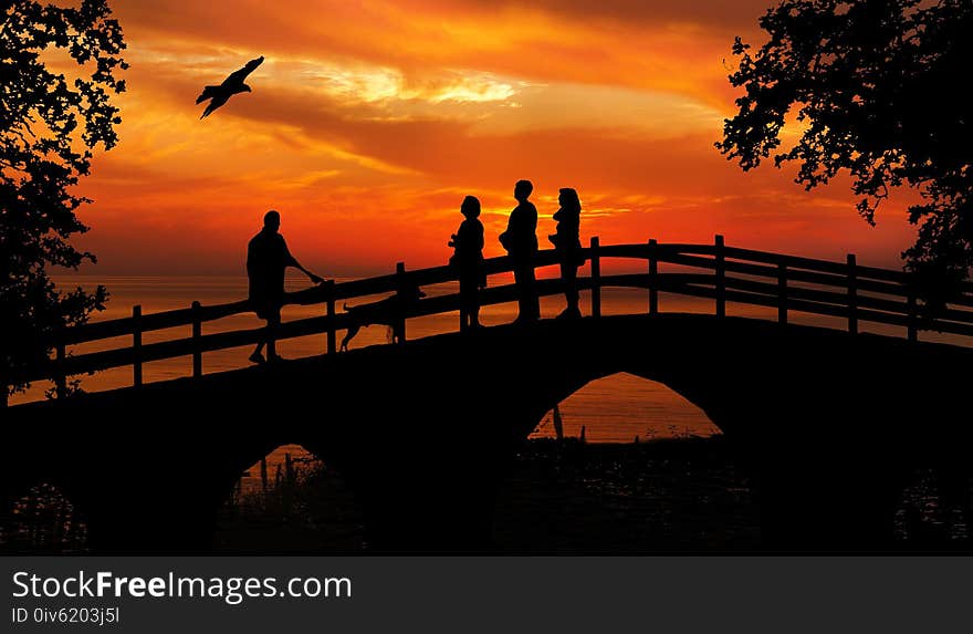 Sky, Nature, Sunset, Sunrise