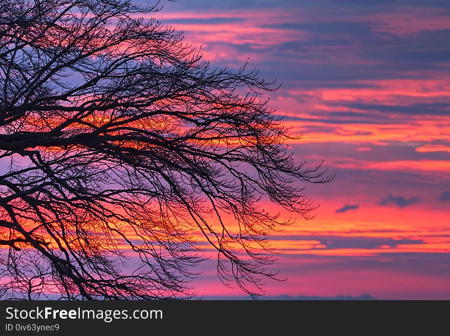 Sky, Red Sky At Morning, Afterglow, Sunrise